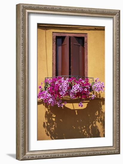 Window with Brown Shutters, Pink Flowers and Yellow Wall. - Burano, Venice-Robert ODea-Framed Photographic Print