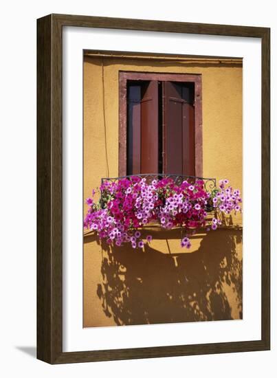 Window with Brown Shutters, Pink Flowers and Yellow Wall. - Burano, Venice-Robert ODea-Framed Photographic Print