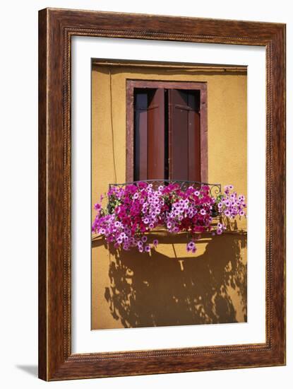 Window with Brown Shutters, Pink Flowers and Yellow Wall. - Burano, Venice-Robert ODea-Framed Photographic Print