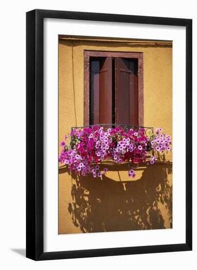 Window with Brown Shutters, Pink Flowers and Yellow Wall. - Burano, Venice-Robert ODea-Framed Photographic Print