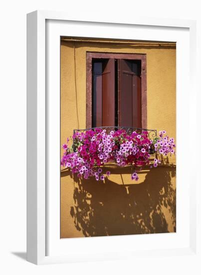 Window with Brown Shutters, Pink Flowers and Yellow Wall. - Burano, Venice-Robert ODea-Framed Photographic Print