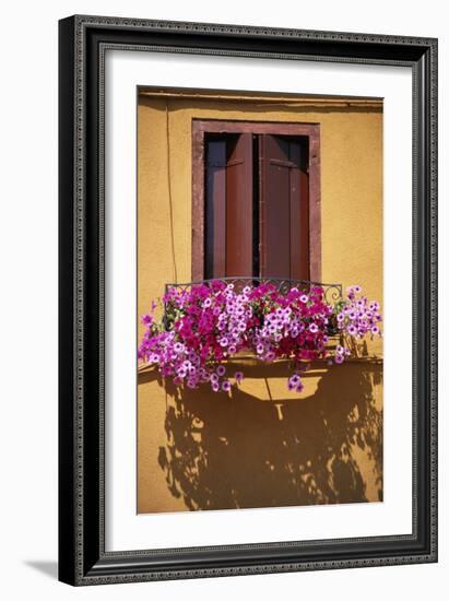 Window with Brown Shutters, Pink Flowers and Yellow Wall. - Burano, Venice-Robert ODea-Framed Photographic Print