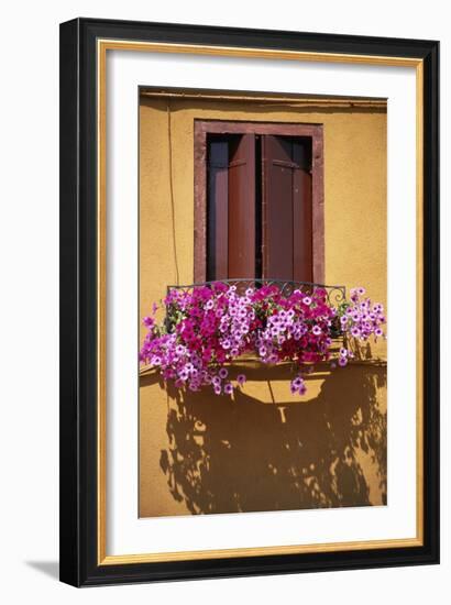 Window with Brown Shutters, Pink Flowers and Yellow Wall. - Burano, Venice-Robert ODea-Framed Photographic Print