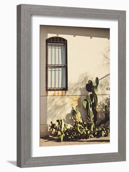 Window with Cactus-Jillian Melnyk-Framed Photographic Print