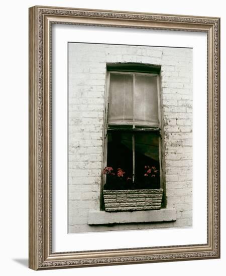 Window with Flower Box in Front of It-Nora Hernandez-Framed Giclee Print