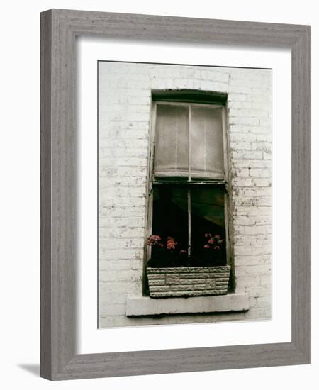 Window with Flower Box in Front of It-Nora Hernandez-Framed Giclee Print