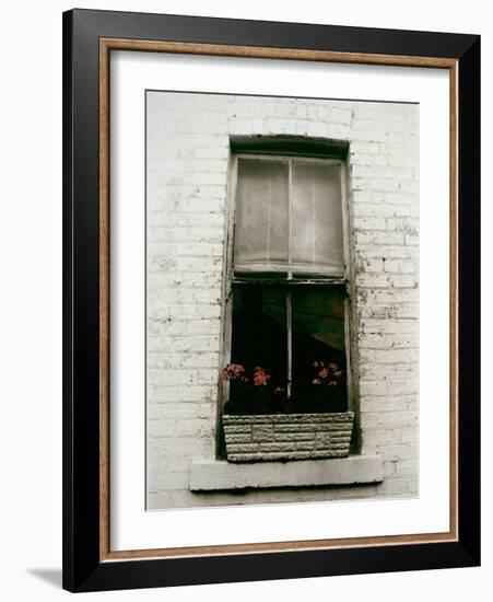 Window with Flower Box in Front of It-Nora Hernandez-Framed Giclee Print