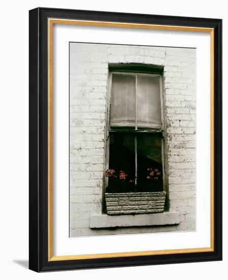 Window with Flower Box in Front of It-Nora Hernandez-Framed Giclee Print