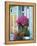 Window With Flowers, France, Europe-Guy Thouvenin-Framed Premier Image Canvas