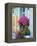 Window With Flowers, France, Europe-Guy Thouvenin-Framed Premier Image Canvas