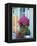 Window With Flowers, France, Europe-Guy Thouvenin-Framed Premier Image Canvas