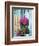 Window With Flowers, France, Europe-Guy Thouvenin-Framed Photographic Print