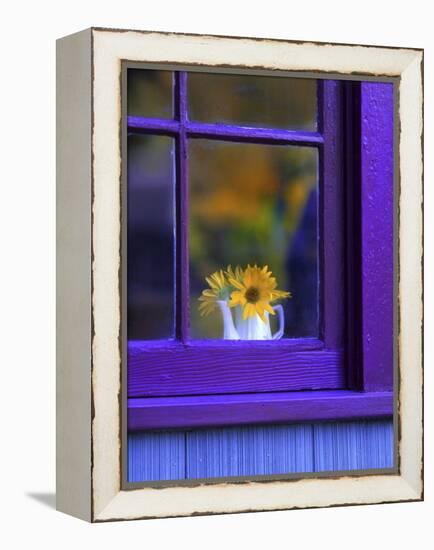 Window with Sunflowers in Vase-Steve Terrill-Framed Premier Image Canvas