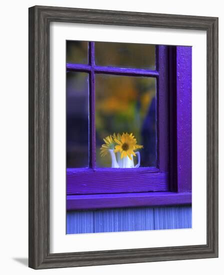 Window with Sunflowers in Vase-Steve Terrill-Framed Photographic Print