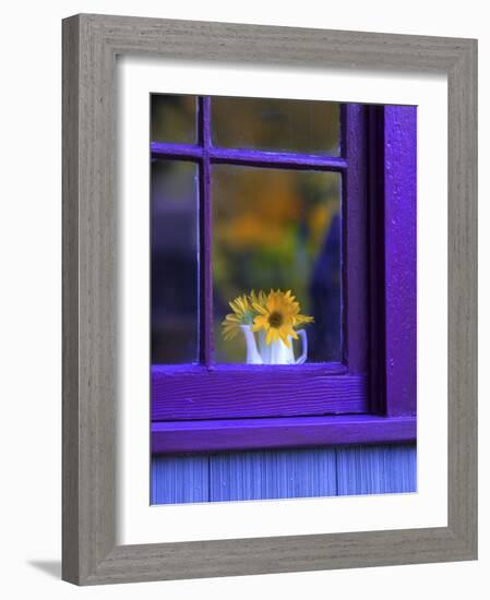 Window with Sunflowers in Vase-Steve Terrill-Framed Photographic Print