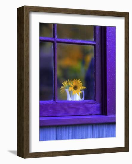 Window with Sunflowers in Vase-Steve Terrill-Framed Photographic Print