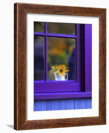 Window with Sunflowers in Vase-Steve Terrill-Framed Photographic Print