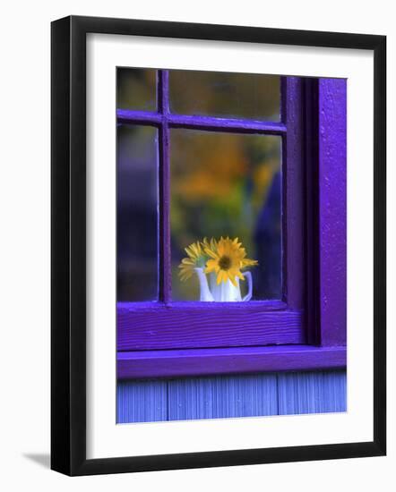 Window with Sunflowers in Vase-Steve Terrill-Framed Photographic Print