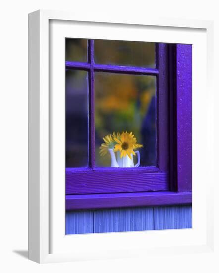 Window with Sunflowers in Vase-Steve Terrill-Framed Photographic Print