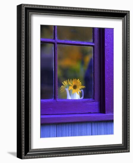 Window with Sunflowers in Vase-Steve Terrill-Framed Photographic Print