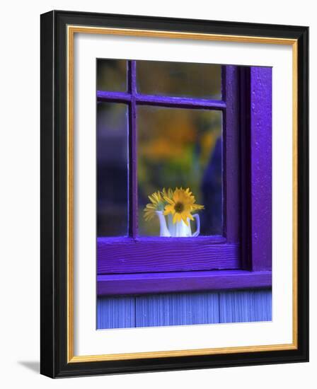 Window with Sunflowers in Vase-Steve Terrill-Framed Photographic Print