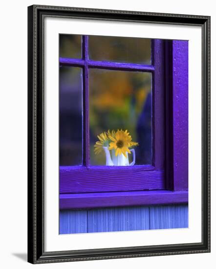 Window with Sunflowers in Vase-Steve Terrill-Framed Photographic Print