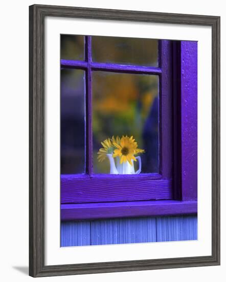 Window with Sunflowers in Vase-Steve Terrill-Framed Photographic Print