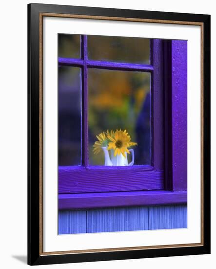 Window with Sunflowers in Vase-Steve Terrill-Framed Photographic Print