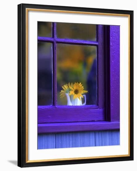 Window with Sunflowers in Vase-Steve Terrill-Framed Photographic Print