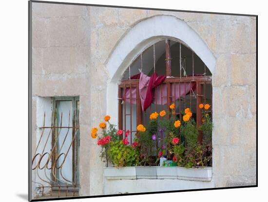 Windows and Flowers in Village, Cappadoccia, Turkey-Darrell Gulin-Mounted Photographic Print