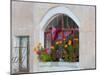 Windows and Flowers in Village, Cappadoccia, Turkey-Darrell Gulin-Mounted Photographic Print