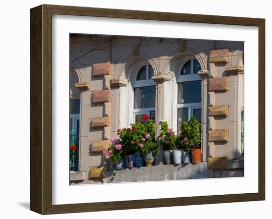 Windows and Flowers in Village, Cappadoccia, Turkey-Darrell Gulin-Framed Photographic Print