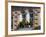 Windows and Flowers in Village, Cappadoccia, Turkey-Darrell Gulin-Framed Photographic Print