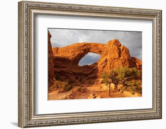 Windows. Arches National Park. Utah, USA.-Tom Norring-Framed Photographic Print