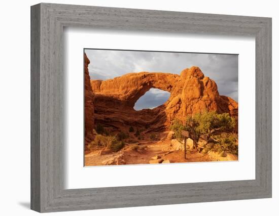 Windows. Arches National Park. Utah, USA.-Tom Norring-Framed Photographic Print