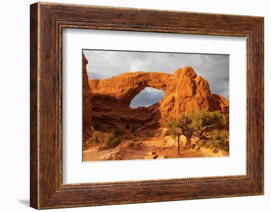 Windows. Arches National Park. Utah, USA.-Tom Norring-Framed Photographic Print