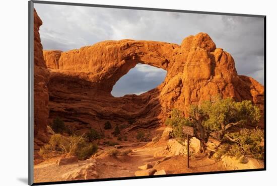 Windows. Arches National Park. Utah, USA.-Tom Norring-Mounted Photographic Print