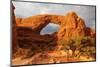 Windows. Arches National Park. Utah, USA.-Tom Norring-Mounted Photographic Print