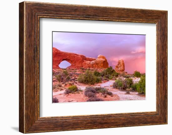 Windows. Arches National Park. Utah, USA.-Tom Norring-Framed Photographic Print