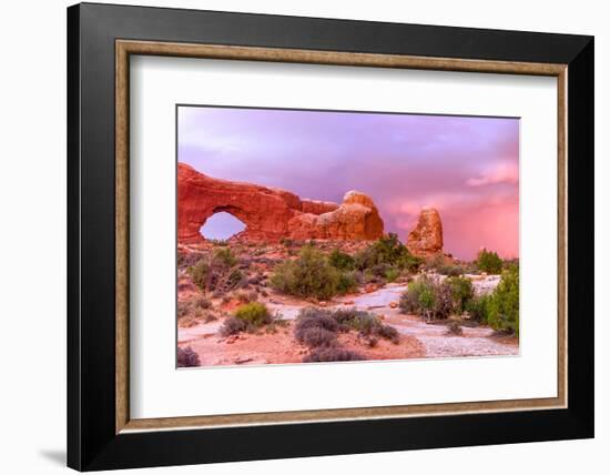 Windows. Arches National Park. Utah, USA.-Tom Norring-Framed Photographic Print