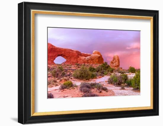 Windows. Arches National Park. Utah, USA.-Tom Norring-Framed Photographic Print