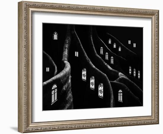 Windows of the Forest-Jacqueline Hammer-Framed Photographic Print