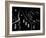 Windows of the Forest-Jacqueline Hammer-Framed Photographic Print