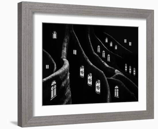 Windows of the Forest-Jacqueline Hammer-Framed Photographic Print