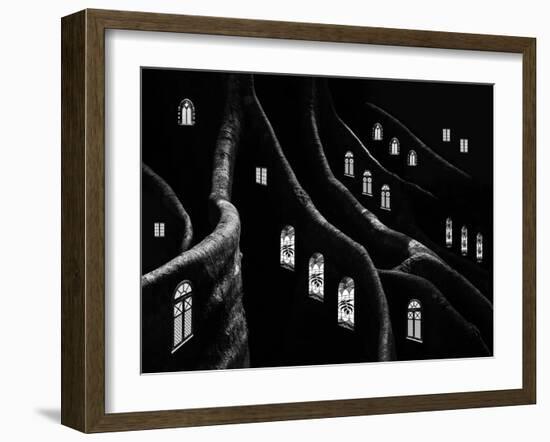 Windows of the Forest-Jacqueline Hammer-Framed Photographic Print