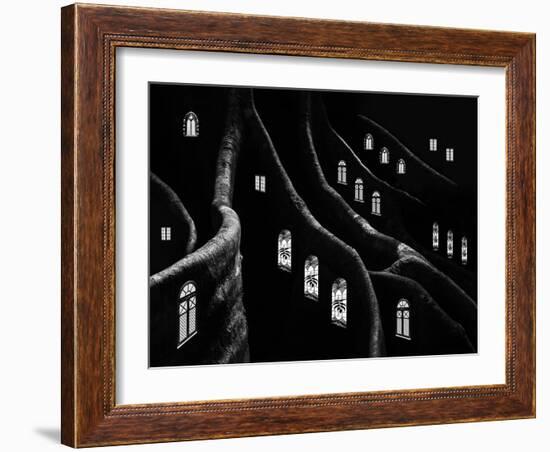 Windows of the Forest-Jacqueline Hammer-Framed Photographic Print