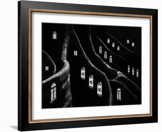 Windows of the Forest-Jacqueline Hammer-Framed Photographic Print