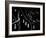 Windows of the Forest-Jacqueline Hammer-Framed Photographic Print