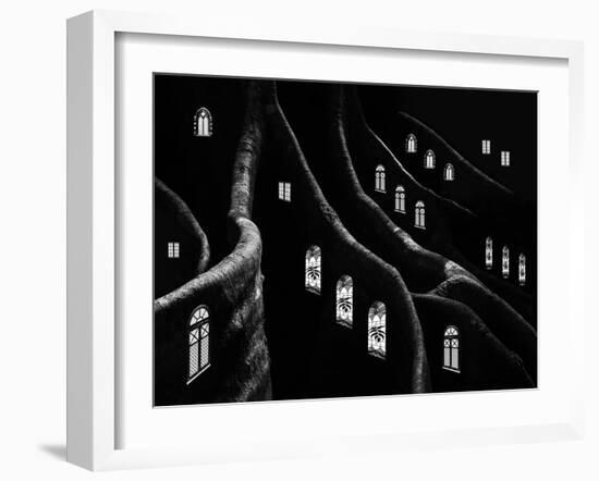 Windows of the Forest-Jacqueline Hammer-Framed Photographic Print