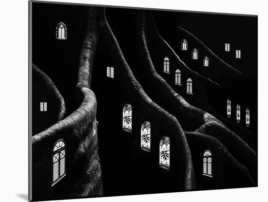 Windows of the Forest-Jacqueline Hammer-Mounted Photographic Print